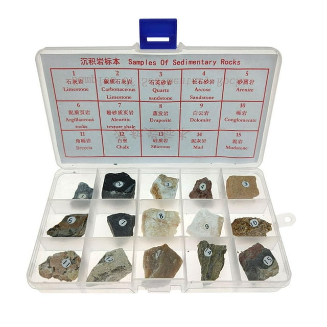 Sedimentary Rock Sedimentary Rock Real Stone Teaching Aid Supplies
