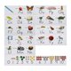 thumbnail image 2 of Tablero de anuncios Números Tarjetas de s Decoración de Aprendizaje Dormitorio Guardería Decoraciones, 2 of 8