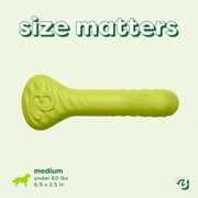 Benebone Essentials Rubber Bone