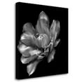 thumbnail image 2 of Tangletown Fine Art 'Summers Surprise' Graphic Art Print on Wrapped Canvas, 2 of 2