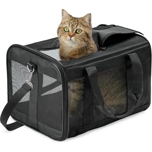 Transportbur för husdjur, mjuk kattbur, hopfällbar, hållbar, flygbolagsgodkänd, resevänlig (42*28*28 cm, svart)