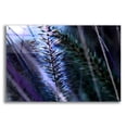 thumbnail image 1 of Epic Art 'Willow' by Dana Brett Munach, Acrylic Glass Wall Art, 36"x24", 1 of 8