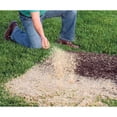 EZ Straw Seeding Mulch With Tack Biodegradable Organic Processed ez-straw-seeding-mulch-with-tack-biodegradable-organic-processed