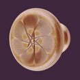 thumbnail image 2 of Kitchen Cabinet Knob Antique Brass 1 1/4" Dia Attractive style Renovators Supply, 2 of 2