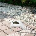 thumbnail image 4 of ELAYARD 1Set Pet Turtle Accessories for Turtle Tank with UV Exposure Function, 4 of 8