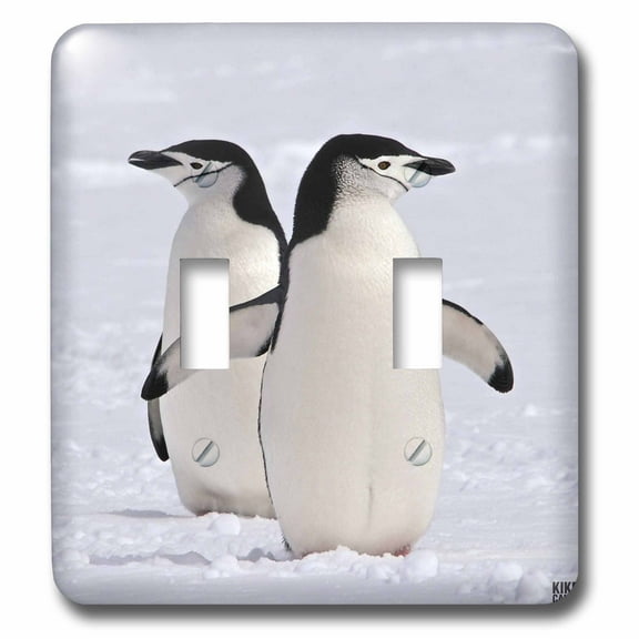 3dRose Chinstrap Penguins at Aitcho Islands - Double Toggle Switch (lsp_10506_2)