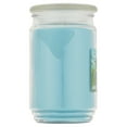 thumbnail image 6 of Mainstays Single-Wick Scented Glass Jar Candle, Garden Rain, 20oz., 6 of 7