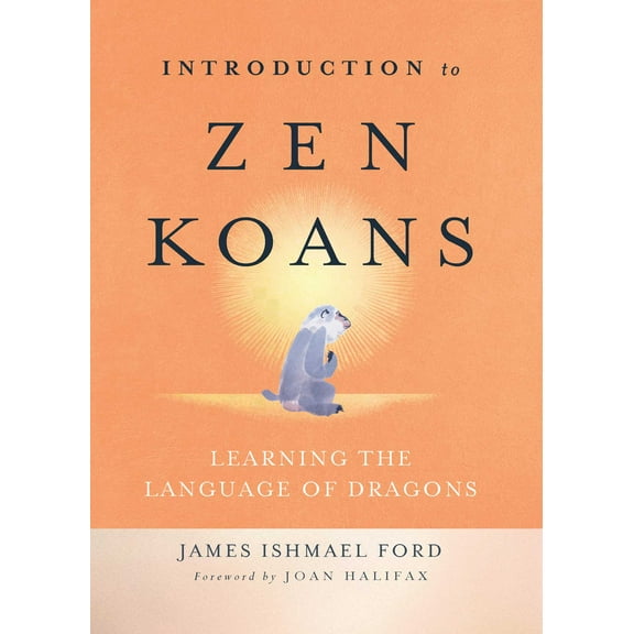 Introduction to Zen Koans : Learning the Language of Dragons (Paperback)