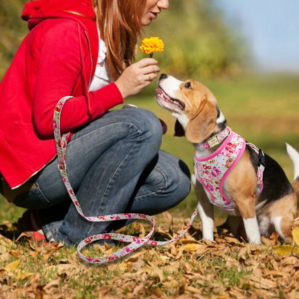 Pet Artist Floral Dog Harness Collar and Leash set With Custom Personalized Metal Buckle ID Nameplate