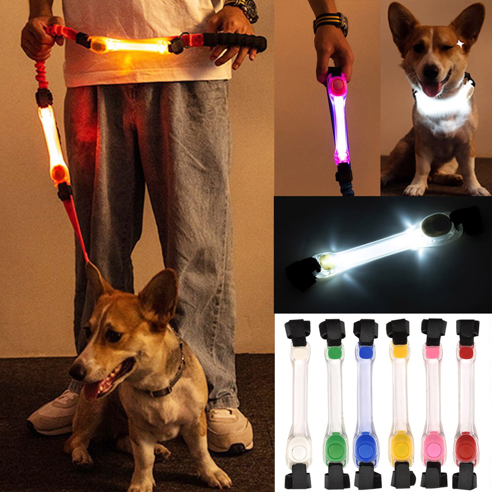 Flashing Grow Light Dogs Nylon Neck Collar Leash Pets Supplies LED 