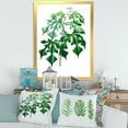 thumbnail image 3 of Designart 'Ancient Green Leaves Plants II' Traditional Framed Art Print, 3 of 4
