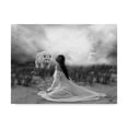 thumbnail image 1 of Trademark Fine Art 'White Wolf' Canvas Art by Ata Alishahi, 1 of 3