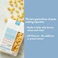thumbnail image 3 of DeLallo Shellbow Pasta, Shell Shape, Made in Italy, Non-GMO, 16 oz Bag, 3 of 7