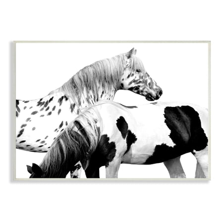 Stupell Industries Modern Grazing Speckled Horses Black White Photography 15 x 10 Design by Samantha Carter