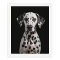 thumbnail image 5 of Paint By Numbers Kit for Adults Beginner - DIY Dalmatian Dog Portrait Black Background Canvas Painting Kits for Adults, Frameless Paint By Number for Adults for Home Wall Decor 16x20 Inch, 5 of 7