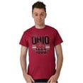 thumbnail image 5 of Ohio Buckeye Leaf Nut Distressed Men's Graphic T Shirt Tees Brisco Brands S, 5 of 6