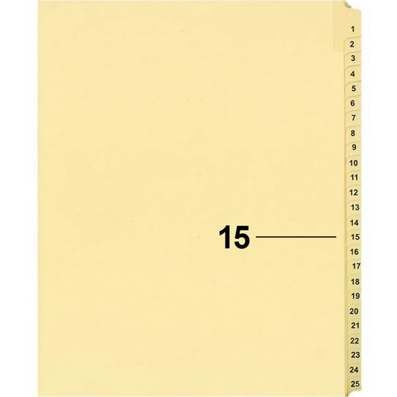 Davisgroup B1125-15 Diviseur d'Indice d'Un Litige Numérique Individuel 15 - 1 Unité