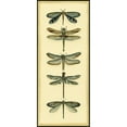 thumbnail image 3 of Zarris, Chariklia 8x14 Black Modern Framed Museum Art Print Titled - Small Dragonfly Collector I, 3 of 5