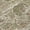 Olive, variant on Addison Rugs Chantille Indoor/Outdoor Traditional Global Beige Machine Washable Rectangle Rug, 10' x 14'
