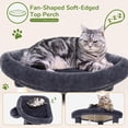 thumbnail image 3 of Torre para Gatos Globlazer C51 para Interiores, Gris Oscuro, 3 of 8