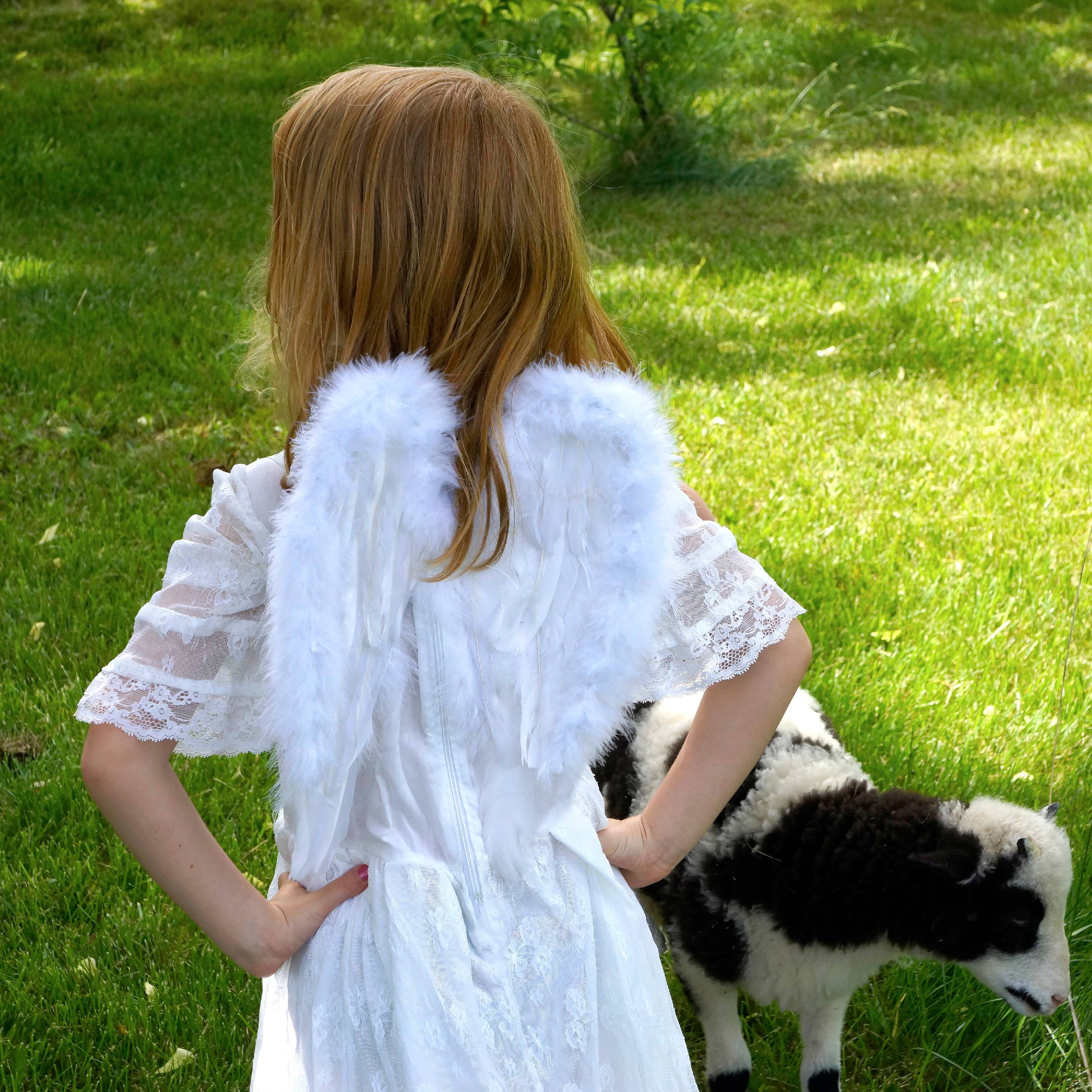 Zucker Small Angel Feather Costume Wings - Angel Feather Wings for Kids Halloween Costume, Dress Up, Photo Props and more
