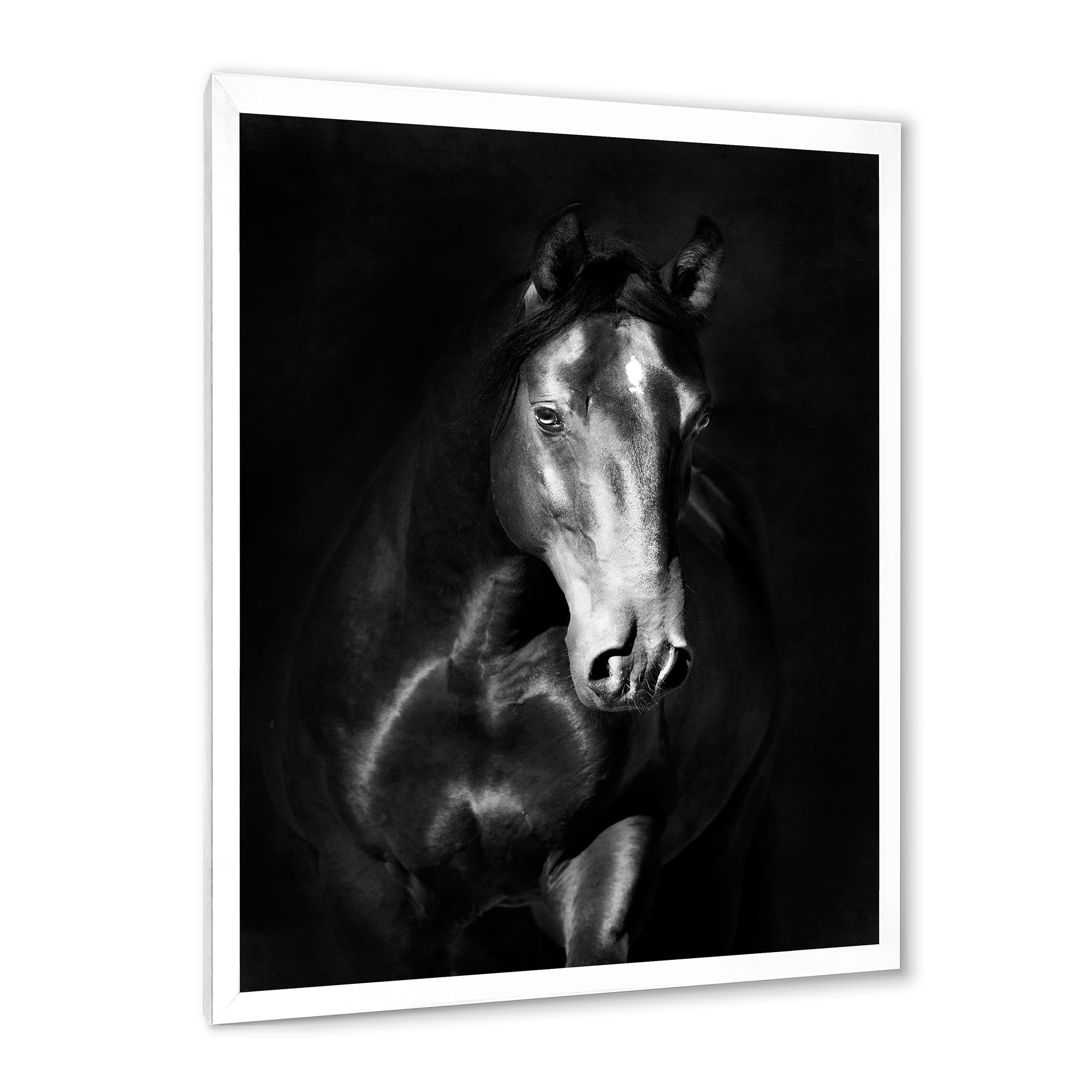Designart 'Close Up Portrait Of Black Kladruby Horse' Farmhouse Framed Art Print