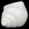 Urban Trends White Ceramic Shell