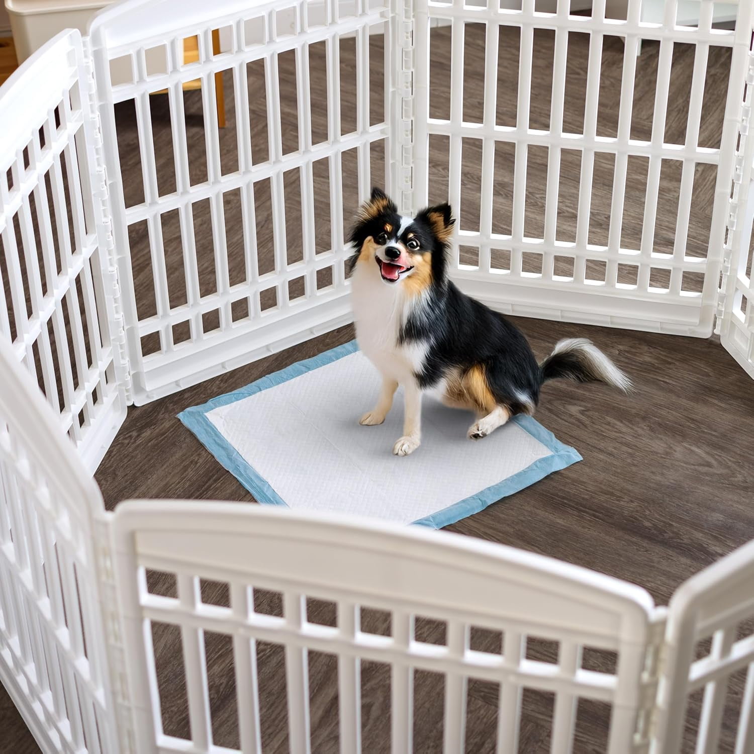 IRIS Puppy Pads with Quick-Dry Leak-Proof Design for Potty Training, Regular Size 22x22 In, 100 Count