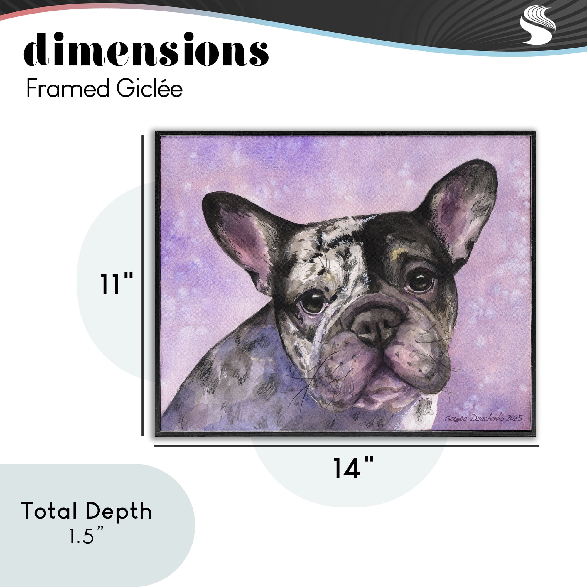 Stupell Industries Harlequin French Bulldog Black Framed Giclee Art, design by George Dyachenko
