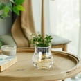 thumbnail image 5 of Modern Flower Vase, Transparent Flower Pots Plastic Vase Floor Vase Living Room Home Small Bottle Ornaments Office Hydroponic Flower Arranger, Ideal for Pampas Grass Dried Flowers Home Centerpiece, 5 of 6
