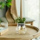 thumbnail image 5 of Transparent flower pots Plastic vase Floor vase living room home small bottle ornaments office hydroponic flower arranger Feature:Quantity: 1Pcs Colour: Clear Material: PolyesterProduct size:, 5 of 6