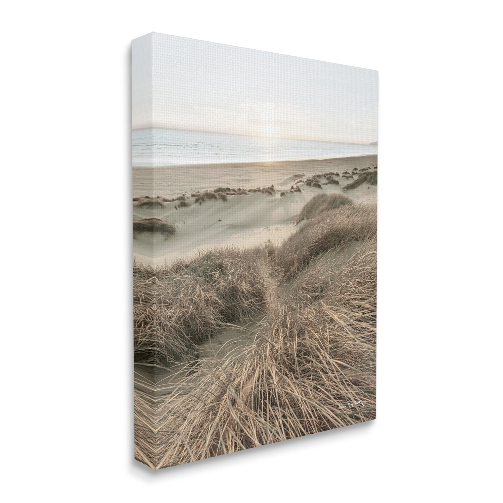Stupell Industries Muted Beach Sunrise Tall Grass Soft Sand Dunes, 36 x 48,Design by Alan Majchrowicz