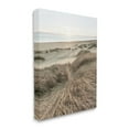 thumbnail image 3 of Stupell Industries Muted Beach Sunrise Tall Grass Soft Sand Dunes, 24 x 30,Design by Alan Majchrowicz, 3 of 5