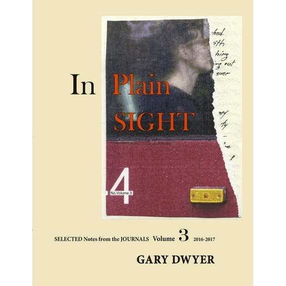 In Plain Sight Volume 3, (Paperback)