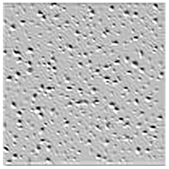 USG Ceilings Radar Basic R2110 Non-Directional 24 in. L x 24 in. W 0.63 in. Square Edge Mineral