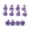 Purple, variant on 12Pcs M5x9mm Disk Brake Rotor Bolts Steel T25 Bike Bicycle Brakes Disc Screws