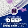 thumbnail image 5 of ARM & HAMMER™ Deep Clean Odor Formula Detergent Power Paks, Radiant Burst Scent, 44 Count, 5 of 14