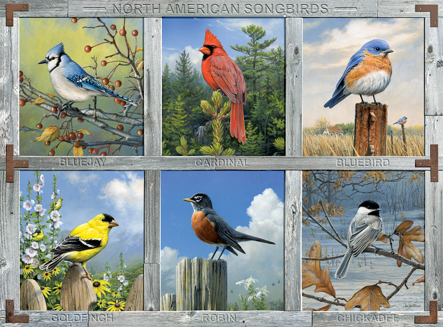 Buffalo Games 1000-Piece Hautman Brothers North American Songbirds Interlocking Jigsaw Puzzle