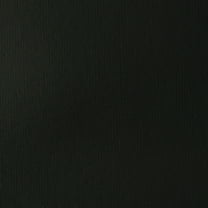 Liquitex BASICS Acrylic Paint 13.5oz-Ivory Black