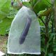 thumbnail image 4 of Paquete de 100 bolsas de protección de frutas - Red contra insectos para árboles frutales - Bolsas de malla con cordón para proteger tomates, uvas y mangos (10" x 6"), 4 of 4