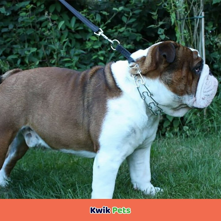 Herm sprenger prong collar walmart hot sale