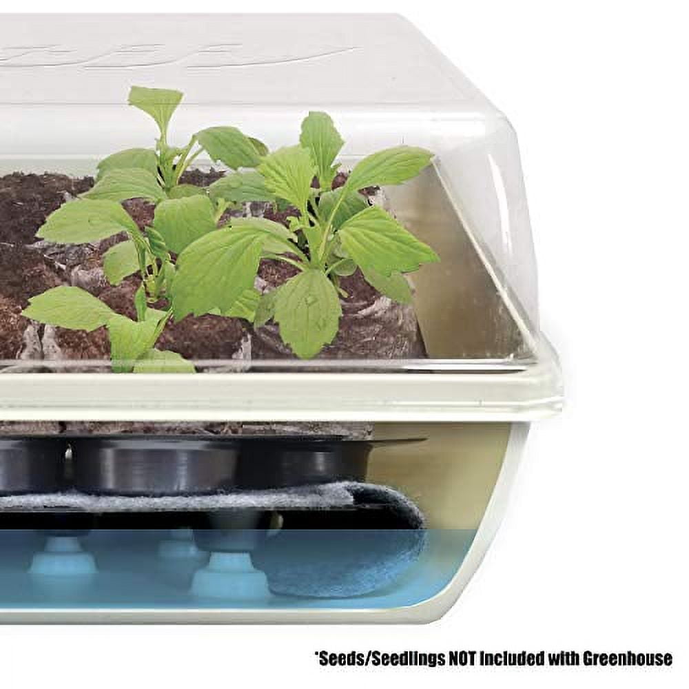 Jiffy 14 Cells 11 in. H X 11 in. W Seed Starting Kit 1 pk