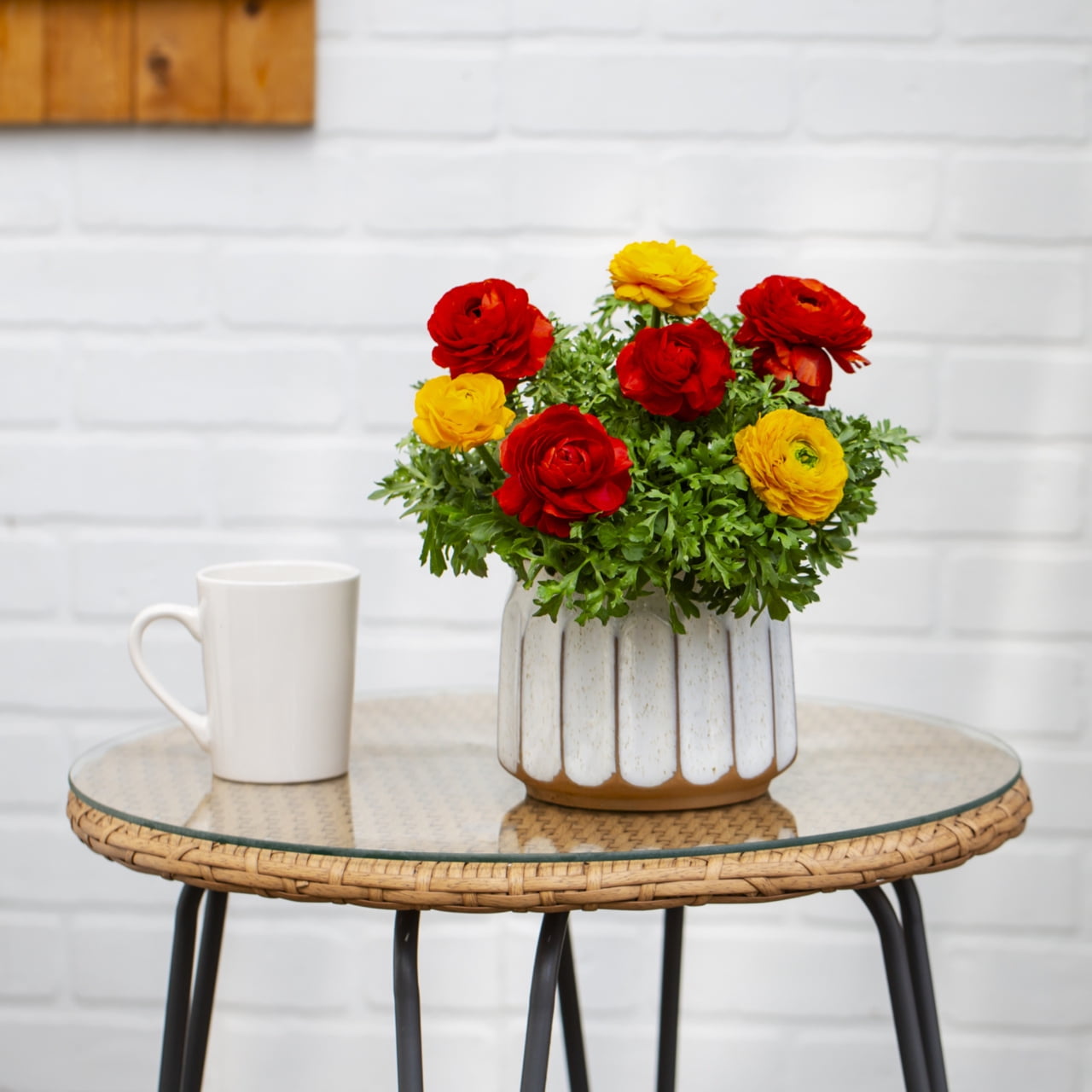 Better Homes & Gardens 1.5PT Multicolor Ranunculus Live Annual Plant Sun