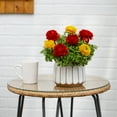 thumbnail image 4 of Better Homes & Gardens 1.5PT Multicolor Ranunculus Live Annual Plant Sun, 4 of 6