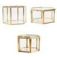 thumbnail image 1 of 3x Terrario Geométrico De Hexagonal Fern Moss Desktop Planter Box, 1 of 8