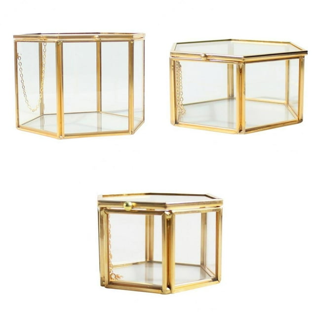3x Terrario Geométrico De Hexagonal Fern Moss Desktop Planter Box
