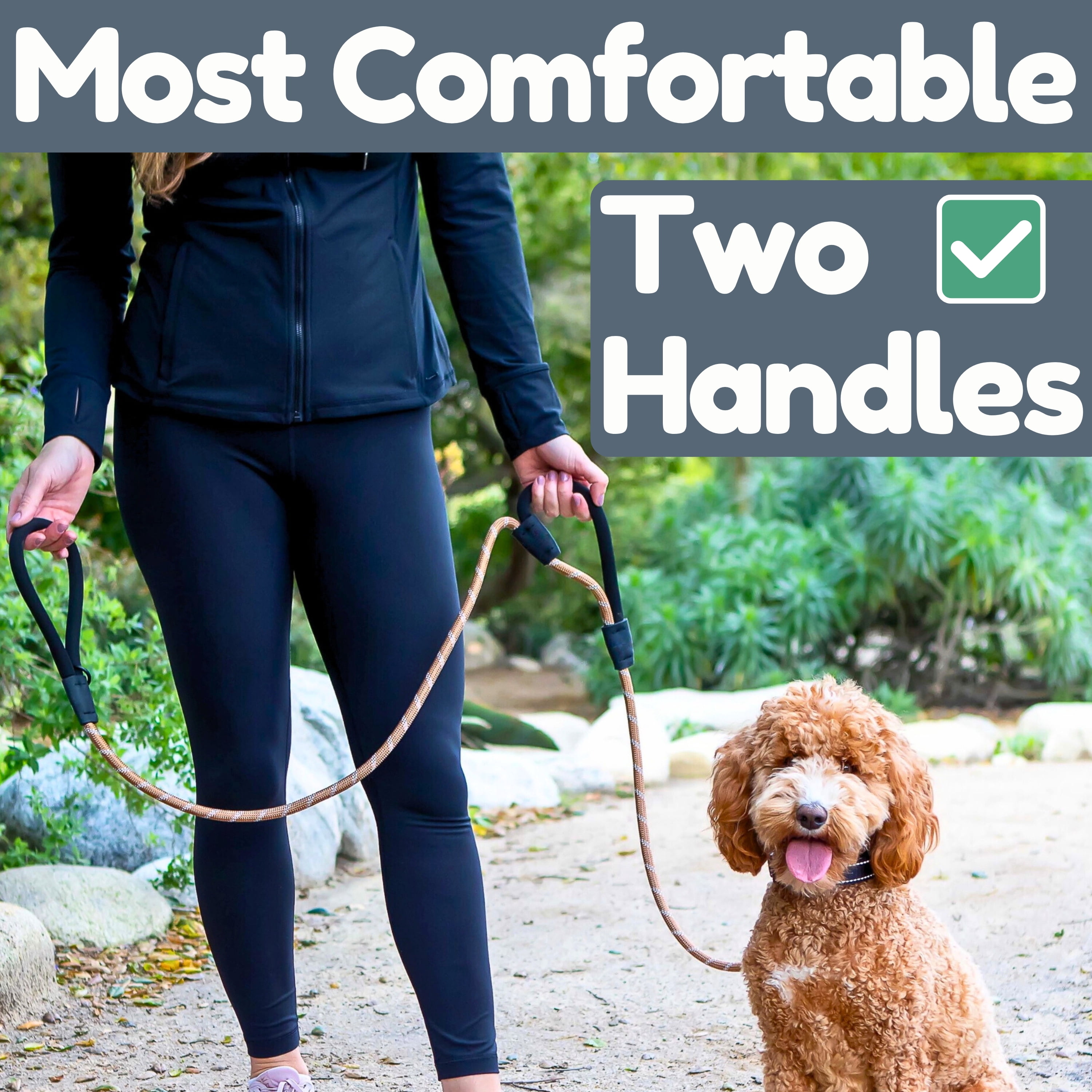 6 Ft Dog Leash - Heavy Duty Leashes for Medium Dogs to Large Breeds, Two Extra Padded Handles, Reflective, Shock-Absorbing, Strong Anti-Pull Rope Training Leash for Walking & Running - Roam Gear