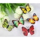 thumbnail image 4 of Colorido Mariposa cambiante LED Lámpara de luz nocturna Home Room Party Desk Decoración de pared, 4 of 4