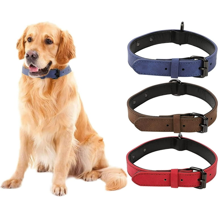 Wide Leather Dog Collar for Collie [C90##1057 Collare con piastre  rettangolari per Collie] : Dog harness, Dog muzzle, Dog collar, dog leash,  Bite Sleeves