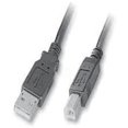 thumbnail image 4 of iMBAPrice USB 2.0 Printer Cable, Fast Transfer, Plug-Play, Replacement for HP, Canon, Samsung, Black, 4 of 6